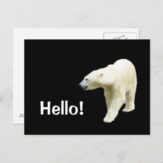 Polar Bear on Black Hello Postkarte (Vorne/Hinten)