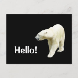 Polar Bear on Black Hello Postkarte