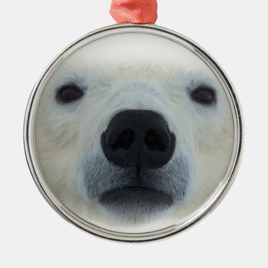 Polar Bear Ornament Aus Metall (Vorne)