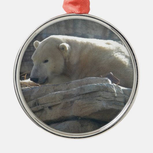 Polar Bear Ornament Aus Metall (Vorne)