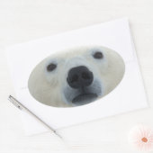Polar Bear Ovaler Aufkleber (Umschlag)