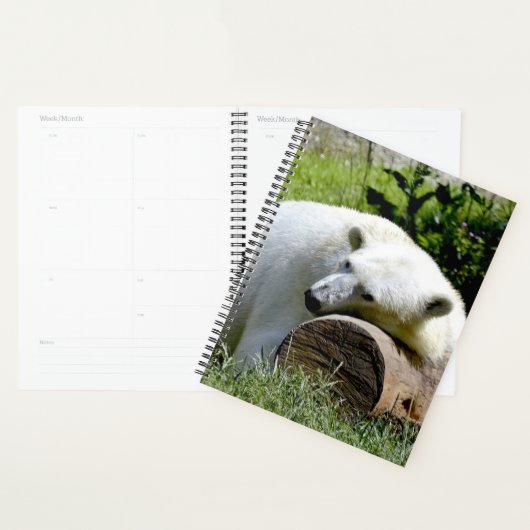 Polar Bear Planer (Anzeige)