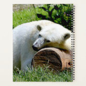 Polar Bear Planer (Rückseite)