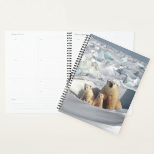 Polar Bear Planer
