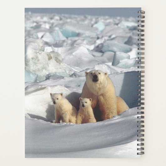 Polar Bear Planer (Rückseite)