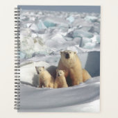 Polar Bear Planer (Vorderseite)