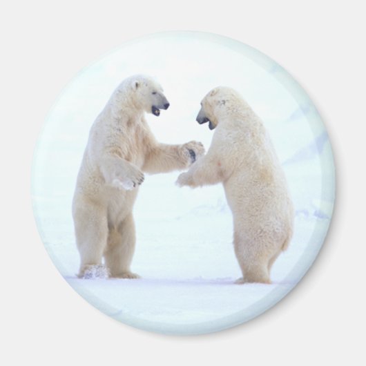 Polar Bear Play Magnet (Vorne)