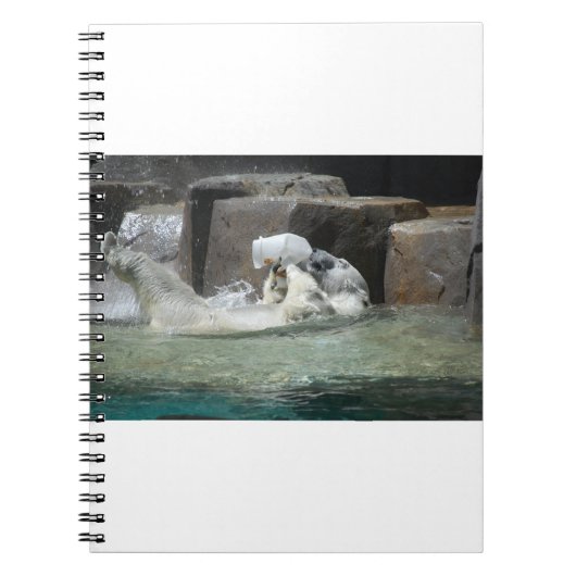Polar Bear Playing mit Jug Notizblock (Vorderseite)