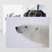 Polar Bear Portrait Feiertagskarte (Vorne/Hinten)