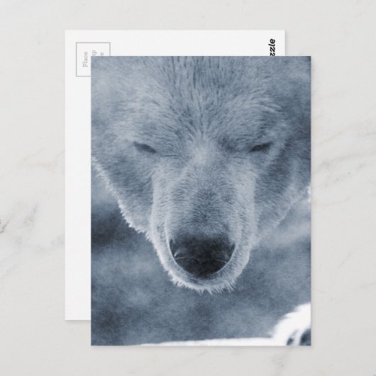 Polar Bear Portrait Postkarte (Vorne/Hinten)