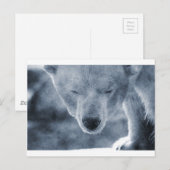 Polar Bear Portrait Postkarte (Vorne/Hinten)