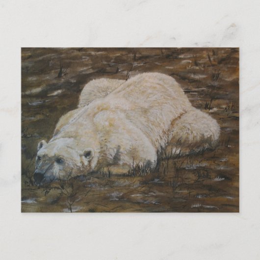 Polar Bear Post Card Postkarte (Vorderseite)