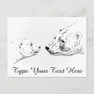 Polar Bear Postcard Mother & Cub Bären Postkarten