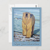 Polar Bear Postcard Polar Bären Art Postkarten (Vorne/Hinten)