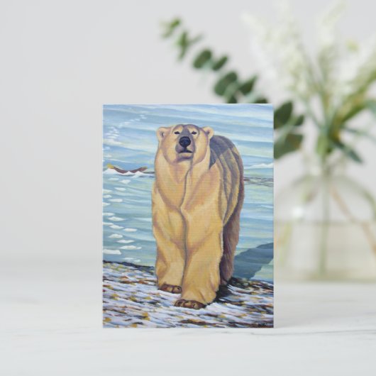 Polar Bear Postcard Polar Bären Art Postkarten (Stehend Vorderseite)