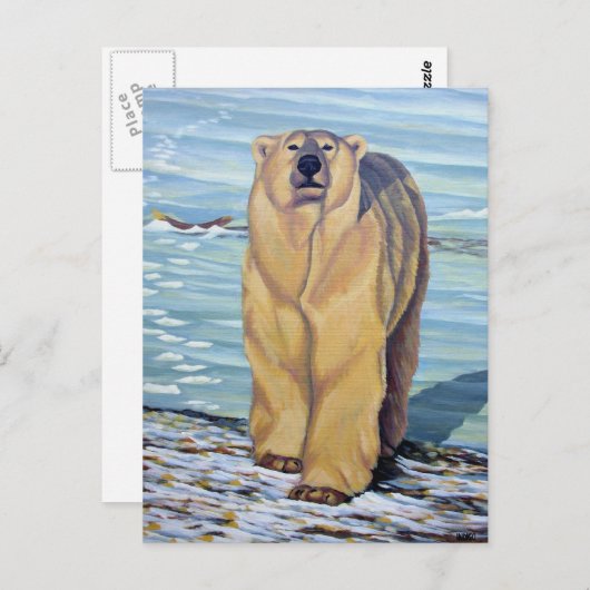 Polar Bear Postcard Polar Bären Art Postkarten (Vorne/Hinten)