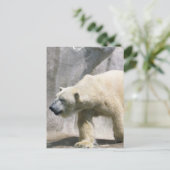 Polar Bear Postcard Postkarte (Stehend Vorderseite)
