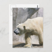 Polar Bear Postcard Postkarte (Vorne/Hinten)