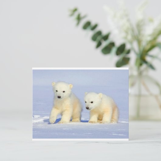 Polar Bear Postcard Postkarte (Stehend Vorderseite)