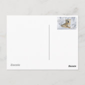 Polar Bear Postcard Postkarte (Rückseite)