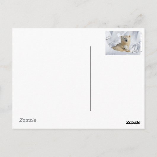 Polar Bear Postcard Postkarte (Rückseite)