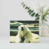 Polar Bear Postcard Postkarte (Stehend Vorderseite)