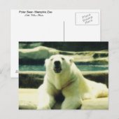 Polar Bear Postcard Postkarte (Vorne/Hinten)