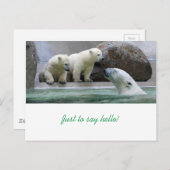 Polar Bear Postcard Postkarte (Vorne/Hinten)