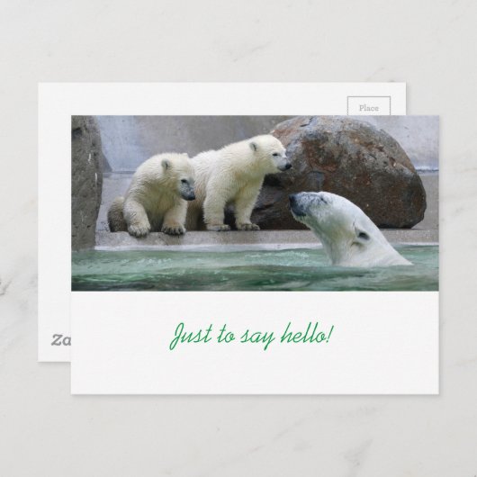 Polar Bear Postcard Postkarte (Vorne/Hinten)