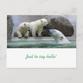 Polar Bear Postcard Postkarte (Vorderseite)