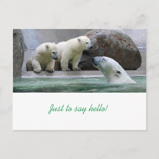 Polar Bear Postcard Postkarte (Vorderseite)