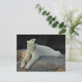 Polar Bear Postcard Postkarte (Stehend Vorderseite)