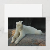 Polar Bear Postcard Postkarte (Vorne/Hinten)