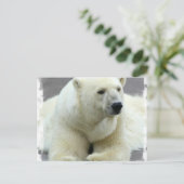 Polar Bear Postcard Postkarte (Stehend Vorderseite)