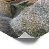 POLAR BEAR Poster (Ecke)