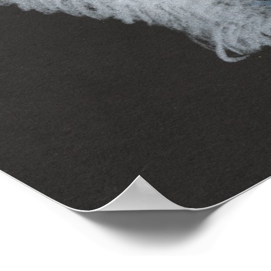 Polar Bear Poster (Ecke)