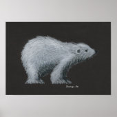 Polar Bear Poster (Vorne)