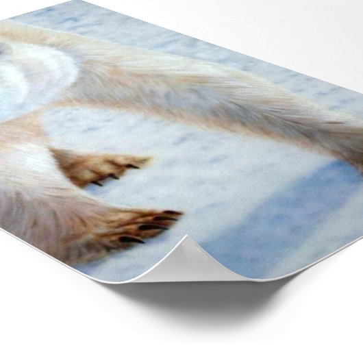 Polar Bear Poster (Ecke)