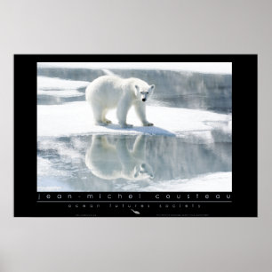 Polar Bear Poster