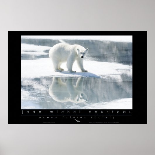 Polar Bear Poster (Vorne)