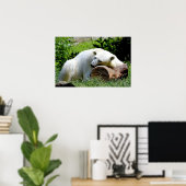 Polar Bear Poster (Heimbüro)