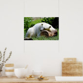 Polar Bear Poster (Küche)
