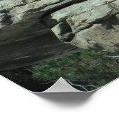 Polar Bear Poster (Ecke)