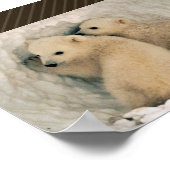 Polar Bear Poster (Ecke)