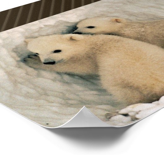 Polar Bear Poster (Ecke)