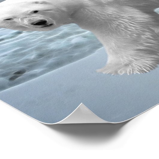 Polar Bear Poster (Ecke)