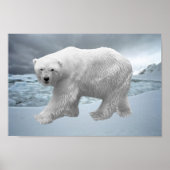 Polar Bear Poster (Vorne)