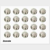 Polar Bear Poster Round Sticker (Blatt)