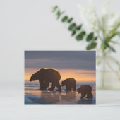 Polar Bear Postkarte (Stehend Vorderseite)