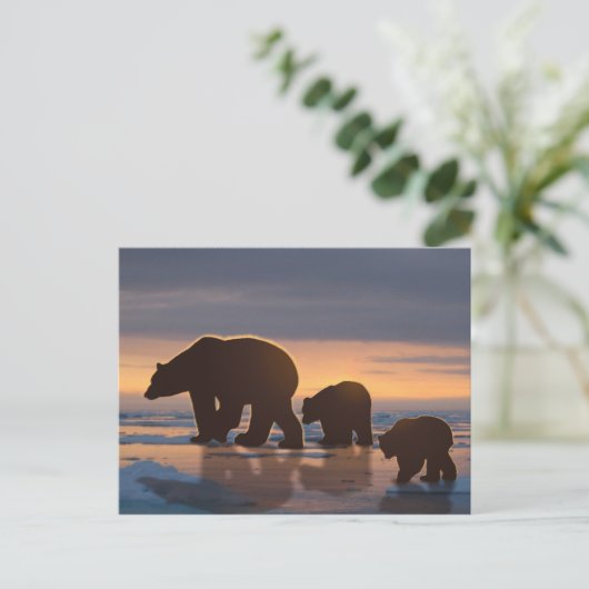Polar Bear Postkarte (Stehend Vorderseite)